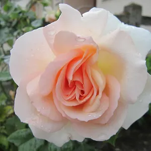 Margotine D'hotes Bed & Breakfast Bellerive-sur-Allier
